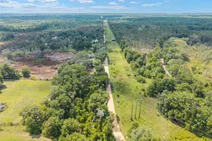 453 Old Hawthorne Rd, Hawthorne, FL 32640 - Photo 73