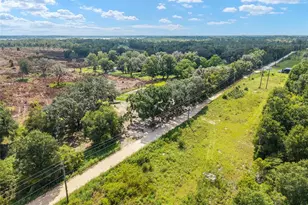 453 Old Hawthorne Rd, Hawthorne, FL 32640 - Photo 75