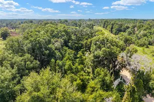 453 Old Hawthorne Rd, Hawthorne, FL 32640 - Photo 67