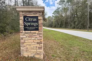 7153 N Everest Terrace, Dunnellon, FL 34434 - Photo 33