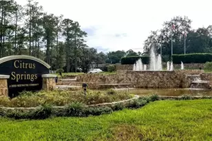 7153 N Everest Terrace, Dunnellon, FL 34434 - Photo 23