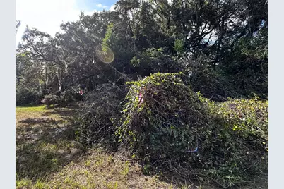 722 Highway 40 W, Inglis, FL 34449 - Photo 13