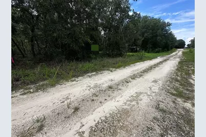 155th Terrace NE, Williston, FL 32696 - Photo 3