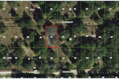 2303 Garfield Street, Inverness, FL 34453 - Photo 1