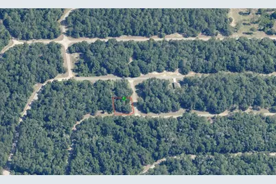 1577 E Ivydale Drive, Citrus Springs, FL 34434 - Photo 1