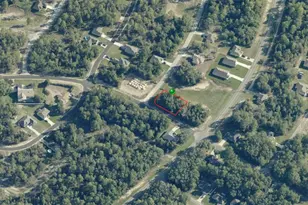 10655 N Dragonis Dr, Citrus Springs, FL 34434 - Photo 1