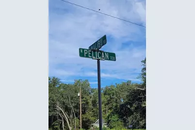 8827 N Pelican Terrace, Dunnellon, FL 34434 - Photo 3