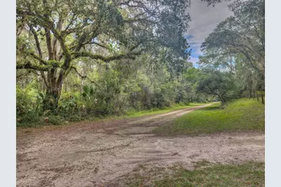 2259 W Wildflower Court, Dunnellon, FL 34434 - Photo 7