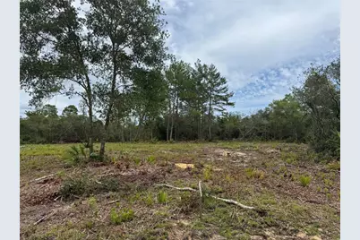 Ne 135th St, Salt Springs, FL 32134 - Photo 5