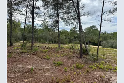 Ne 135th St, Salt Springs, FL 32134 - Photo 11