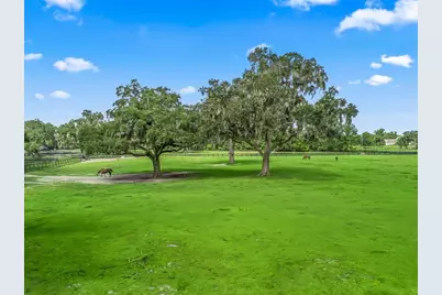 Tbd NW 110th Ave, Ocala, FL 34482 - Photo 13