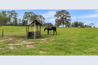 13651 SE 73rd Lane, Morriston, FL 32668 - Photo 69