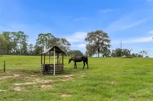 13651 SE 73rd Ln, Morriston, FL 32668 - Photo 69