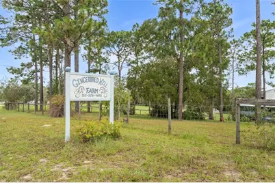 13651 SE 73rd Lane, Morriston, FL 32668 - Photo 67