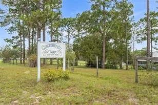 13651 SE 73rd Ln, Morriston, FL 32668 - Photo 67