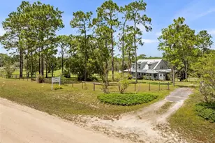 13651 SE 73rd Ln, Morriston, FL 32668 - Photo 3