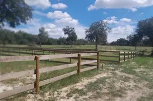 3731 SE 117th Terrace, Morriston, FL 32668 - Photo 33