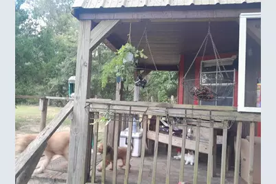 3731 SE 117th Terrace, Morriston, FL 32668 - Photo 19