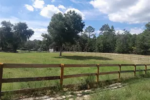 3731 SE 117th Terrace, Morriston, FL 32668 - Photo 39