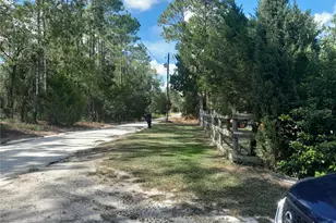 3731 SE 117th Terrace, Morriston, FL 32668 - Photo 7