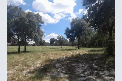 3731 SE 117th Terrace, Morriston, FL 32668 - Photo 41