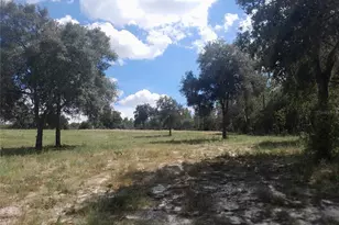 3731 SE 117th Terrace, Morriston, FL 32668 - Photo 41