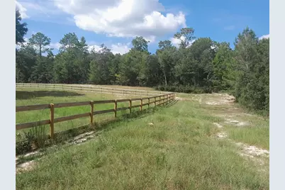 3731 SE 117th Terrace, Morriston, FL 32668 - Photo 43