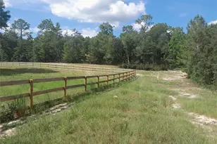 3731 SE 117th Terrace, Morriston, FL 32668 - Photo 43