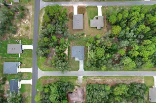 225 W Diego Pl, Citrus Springs, FL 34434 - Photo 41