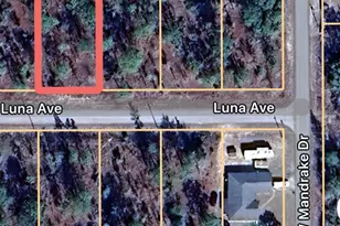 0 Luna Ave, Dunnellon, FL 34431 - Photo 1
