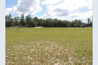 9871 NE 60th Street, Bronson, FL 32621 - Photo 9