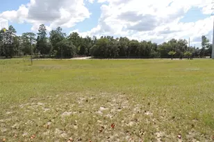 9871 NE 60th St, Bronson, FL 32621 - Photo 9