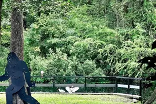 353 N Robin Hood Rd, Inverness, FL 34450 - Photo 43