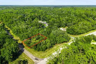 11023 N Glenda Terrace, Dunnellon, FL 34434 - Photo 1