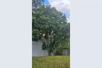 833 Jefferson Boulevard, Haines City, FL 33844 - Photo 7