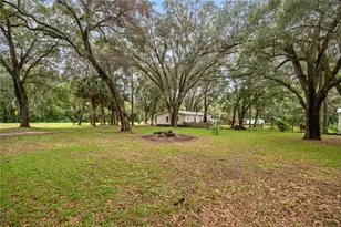11600 NE 144 Pl, Fort Mc Coy, FL 32134 - Photo 3
