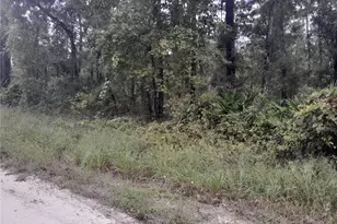 Tbd NE 292nd Ave, Old Town, FL 32680 - Photo 1