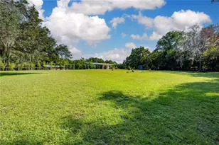 16750 NE 31 Ln, Williston, FL 32696 - Photo 45