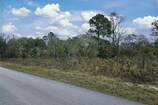 1281 SW Viburnum Rd, Dunnellon, FL 34431 - Photo 1