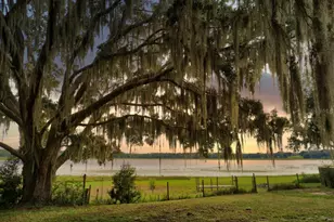 3828 SW Shorewood Dr, Dunnellon, FL 34431 - Photo 7