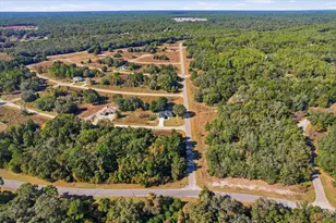 8196 N Terrel Terrace, Citrus Springs, FL 34434 - Photo 43