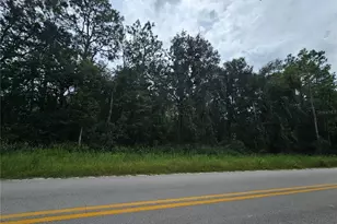 9830 NE 65th Ln, Bronson, FL 32621 - Photo 1