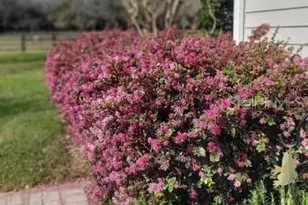 1198 SW 104th Street Rd, Ocala, FL 34476 - Photo 89