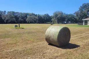 1198 SW 104th Street Rd, Ocala, FL 34476 - Photo 91