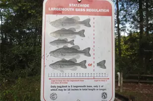 17010 SE 61st Pl, Ocklawaha, FL 32179 - Photo 33