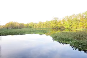 17010 SE 61st Pl, Ocklawaha, FL 32179 - Photo 23