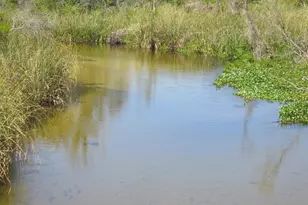17010 SE 61st Pl, Ocklawaha, FL 32179 - Photo 35