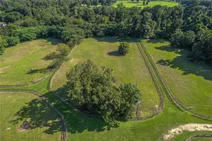 12615 NW Gainesville Rd, Reddick, FL 32686 - Photo 87