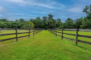 12615 NW Gainesville Rd, Reddick, FL 32686 - Photo 65