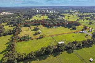 12615 NW Gainesville Rd, Reddick, FL 32686 - Photo 7